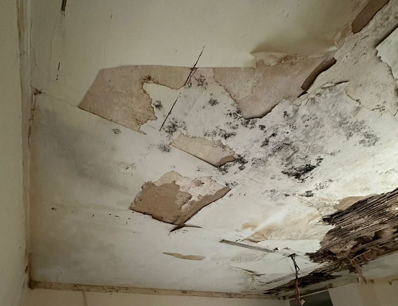 Old lath-and-plaster ceiling with large pieces of plaster come away and the timber lath showing along one side, above a panelled door